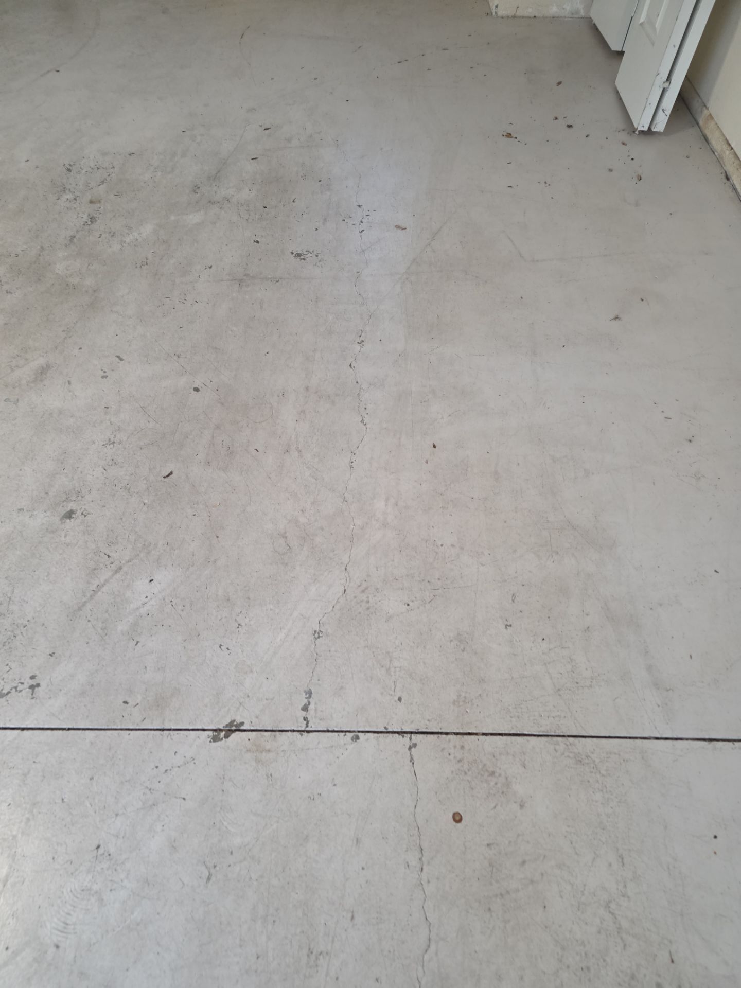 Domino for the Win!! by MGP Coatings