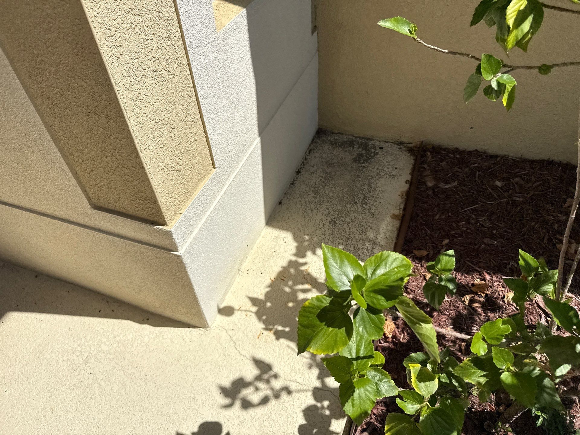 Driveway & Rear Wall Soft Wash | Lexington Community | Parrish, FL | Sunshine AquaWash by Sunshine AquaWash