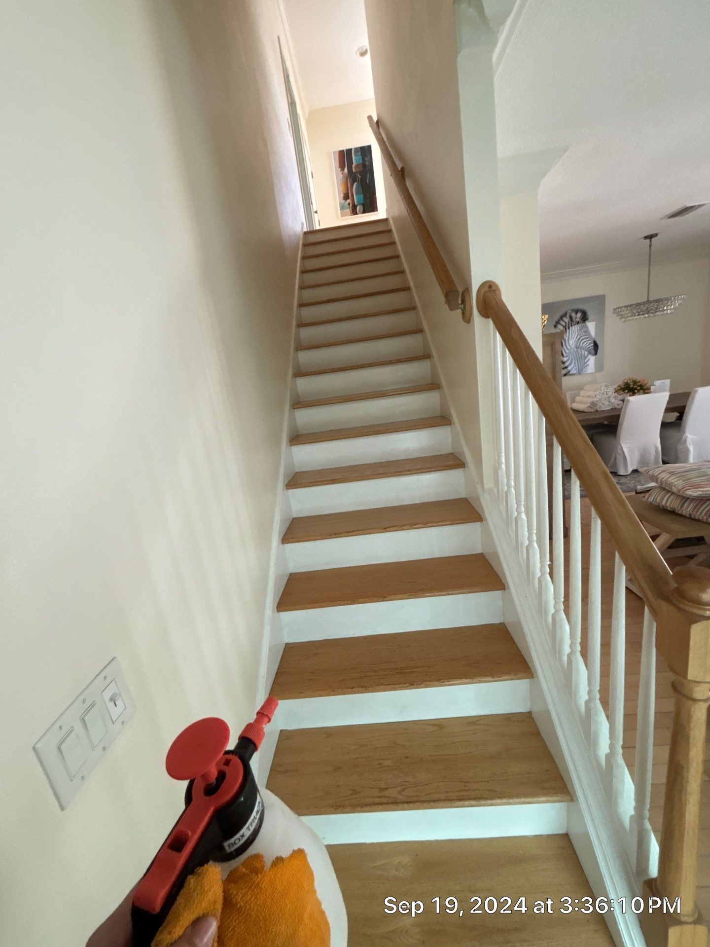 Holmes Beach AC Mold Deep Cleaning by Ampm Restoration Services