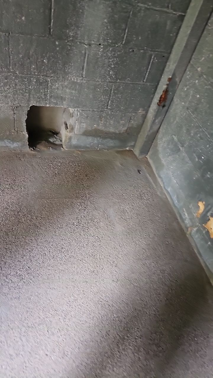 Windsor Blvd - Deck Installation by Pillar and Pine