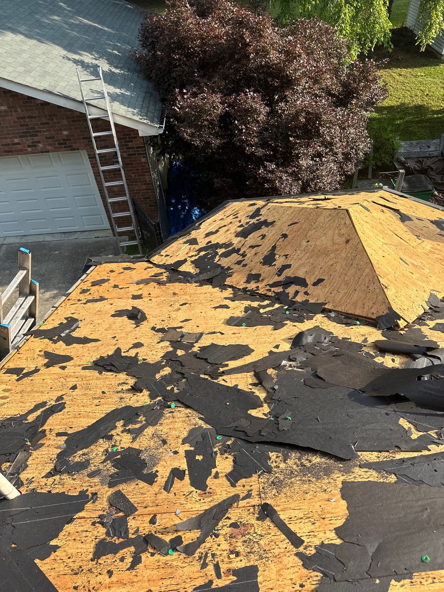 The Cutlips by United Contracting and Roofing