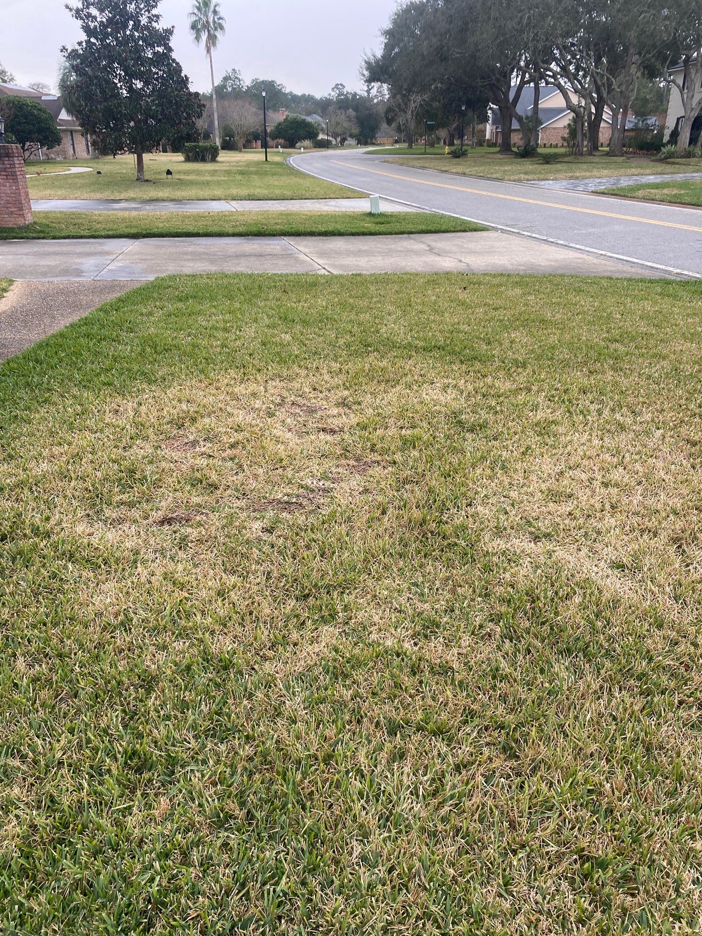 Deerwood | Live Oak Planting Project  by ProGreen Services