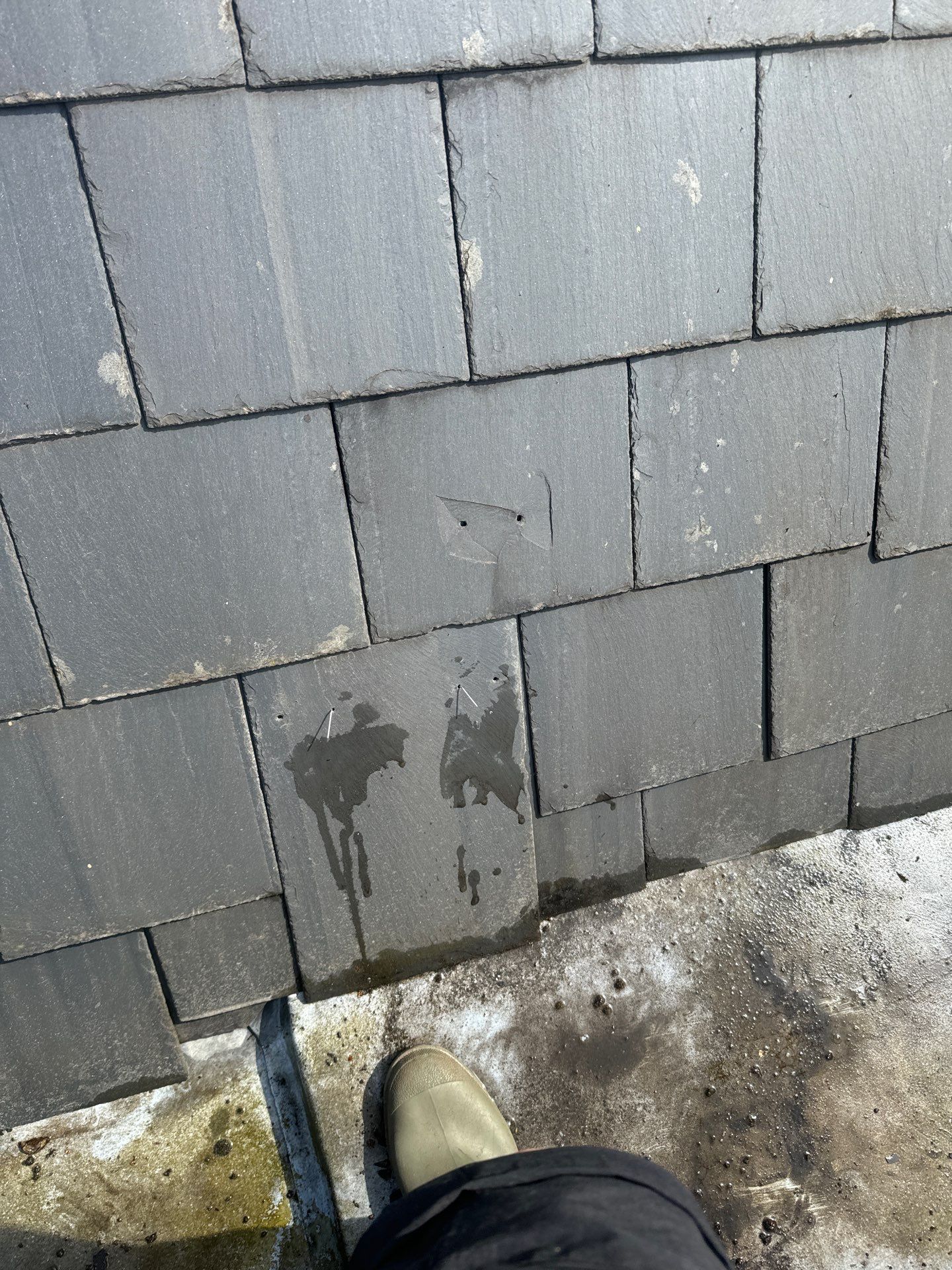 Roof and Patio Cleaning using Honda 15lpm Low Pressure Washing Machine by Ges Exterior Cleaning ltd
