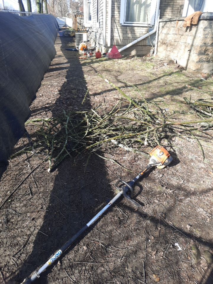 Tree Removal using Tree Removal by Mike Jones & Sons Tree Service LLC 