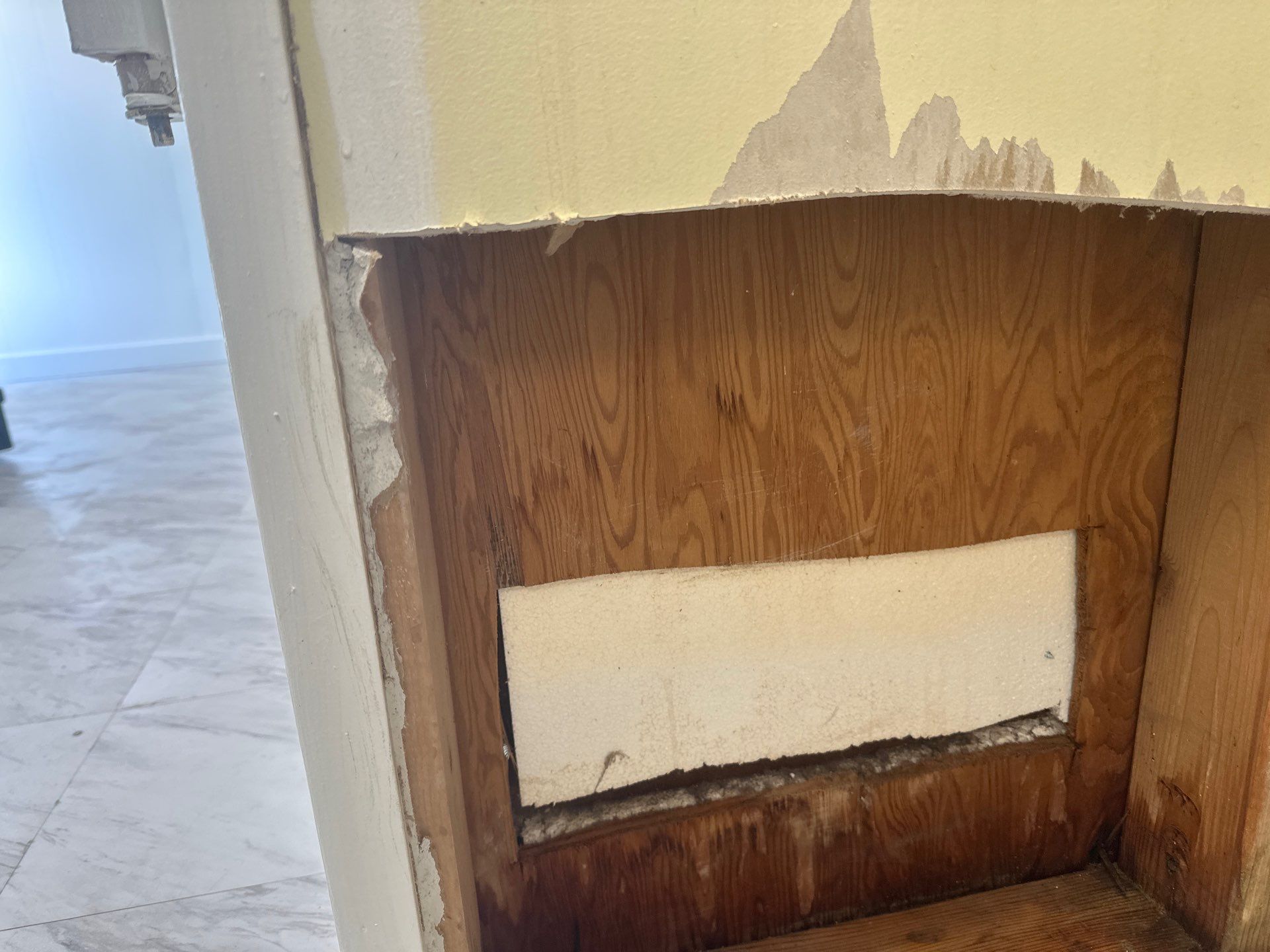 Pittsburgh Attic Insulation Upgrade and Comprehensive Mold Remediation by Home Environment Solutions