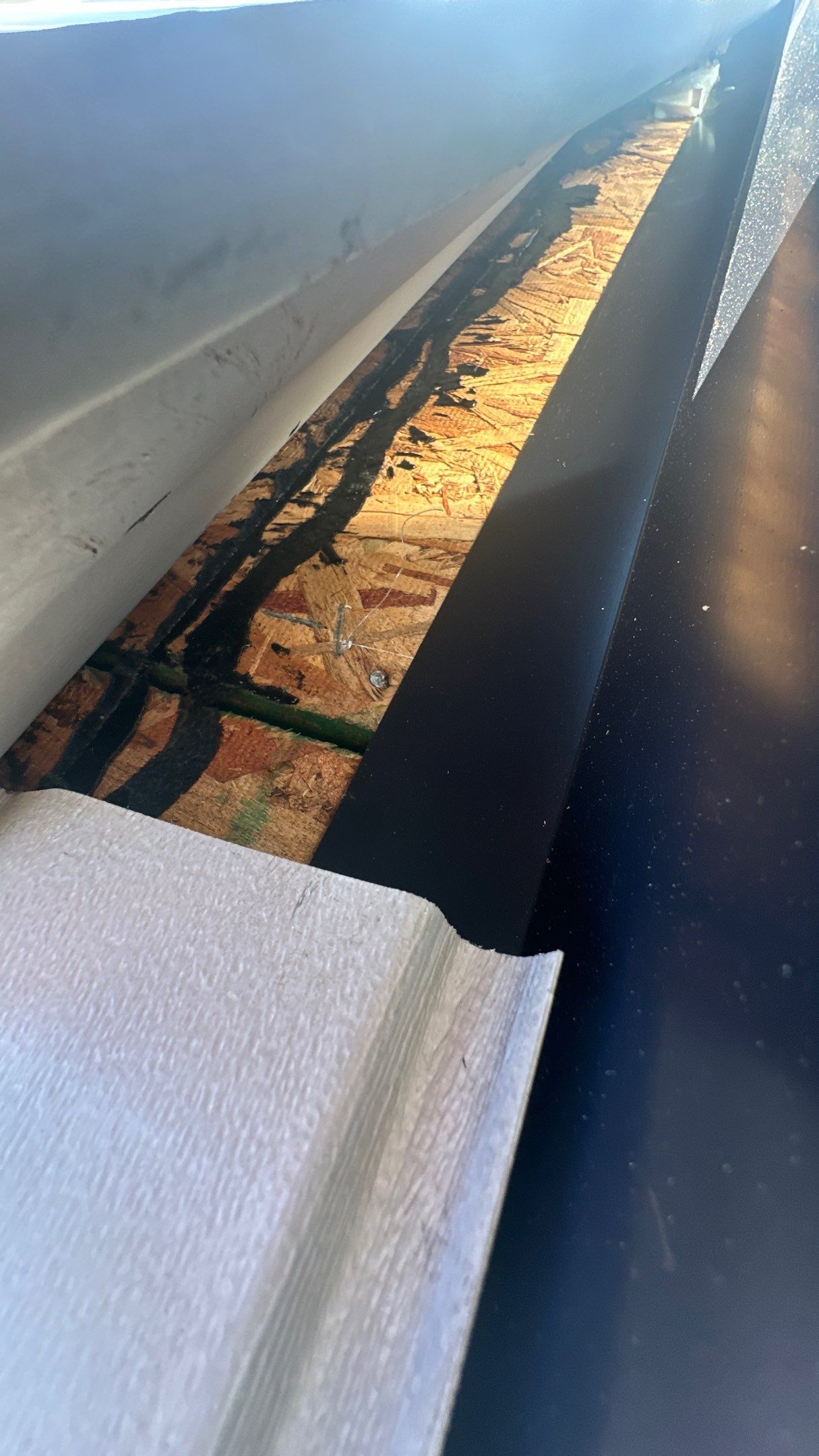 Roofing & Siding  by Tamlin Roofing