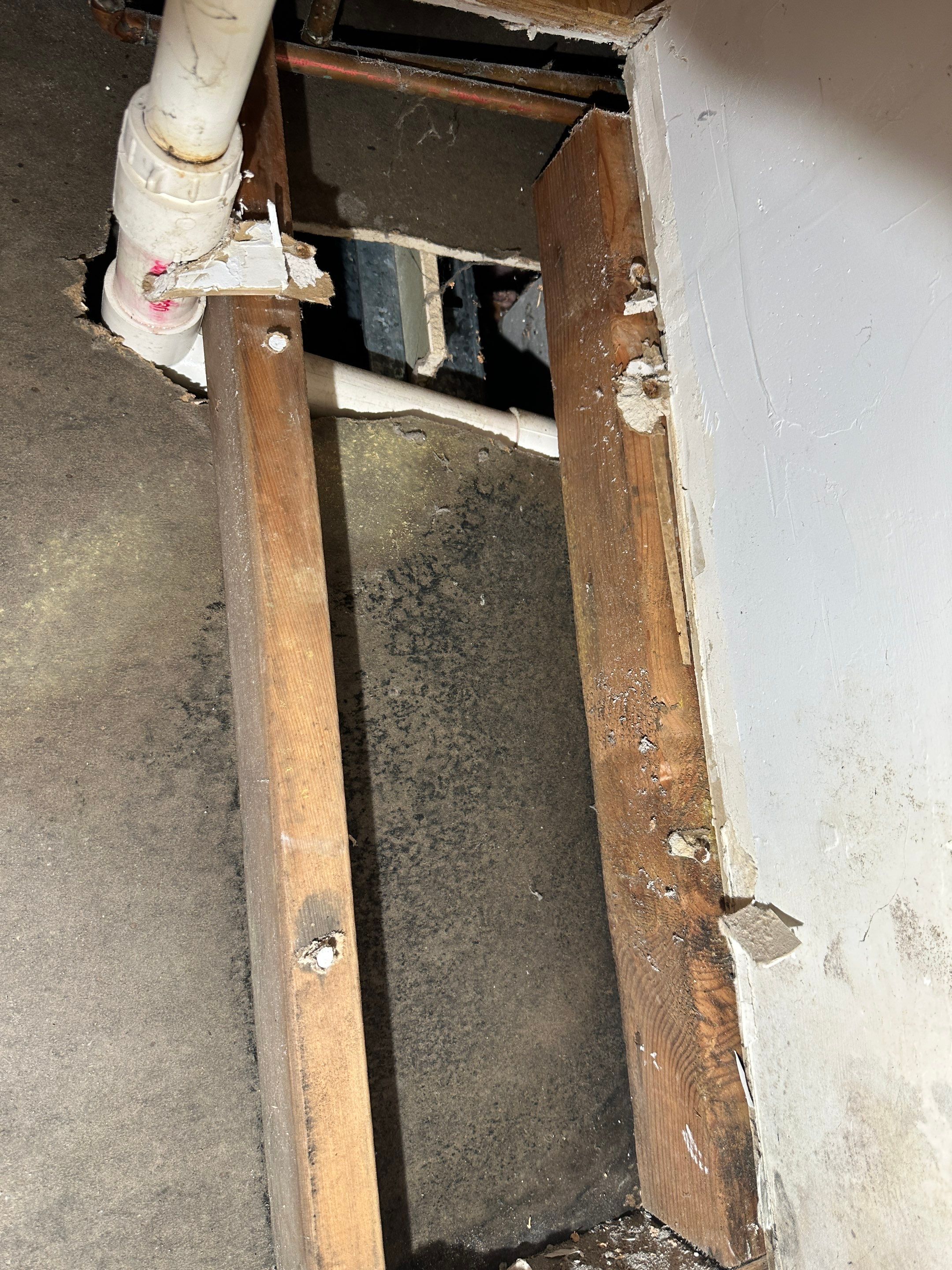 Basement Mold Remediation by Home Guarantee, LLC