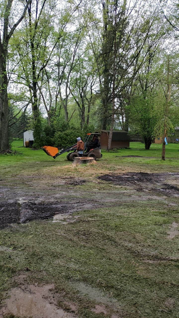 Tree Removal using Tree Removal by Mike Jones & Sons Tree Service LLC 