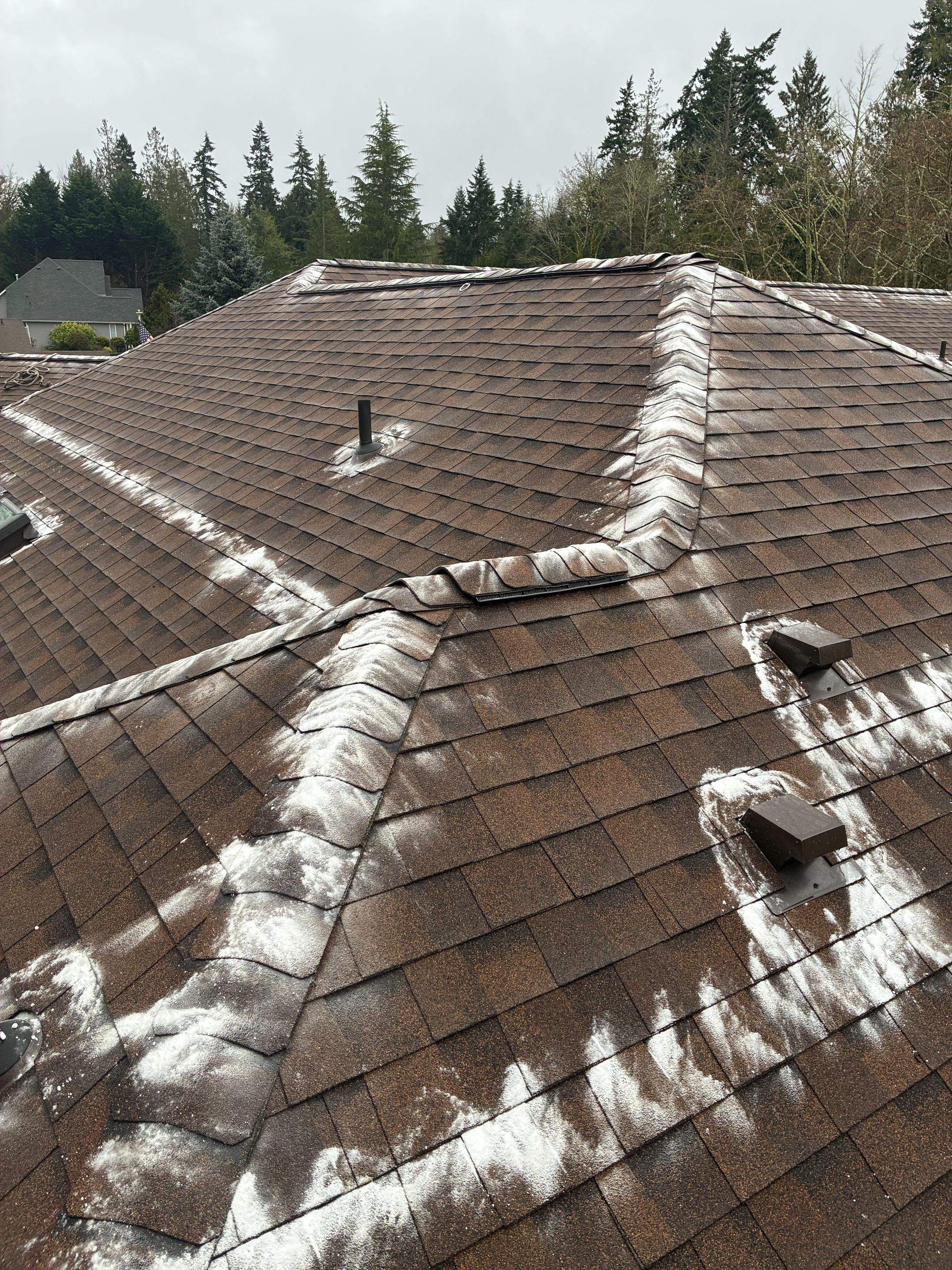 Residential Roof Cleaning in Bremerton, WA by Hanley Construction