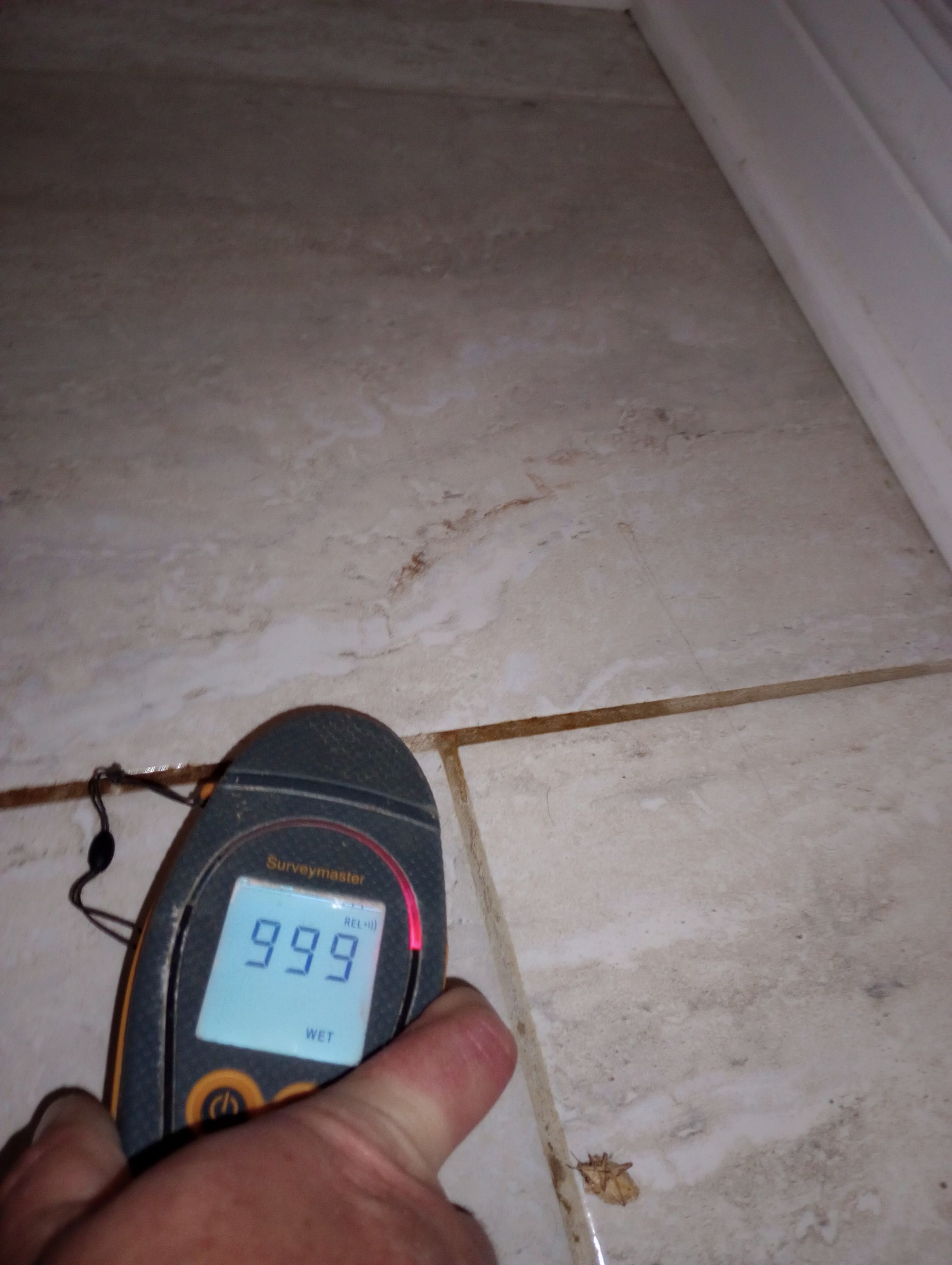 Water Damage Dryout in Bathroom Ceiling by ANR Restoration