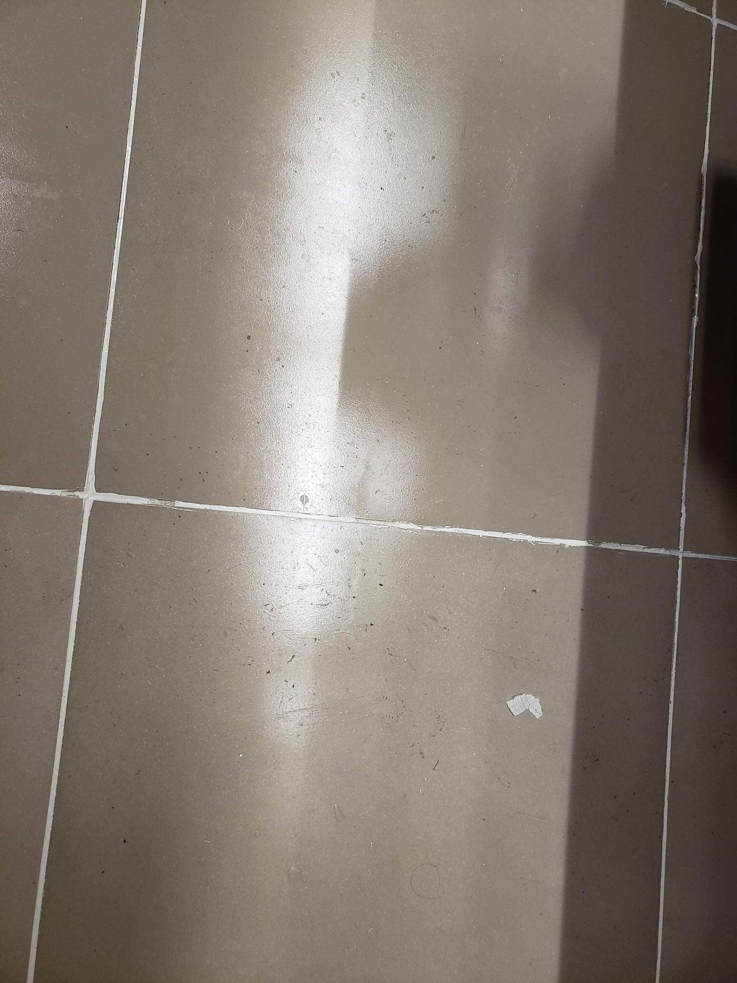 SaniGlaze Removal and reconditioning using CareGuard by Corporate Care