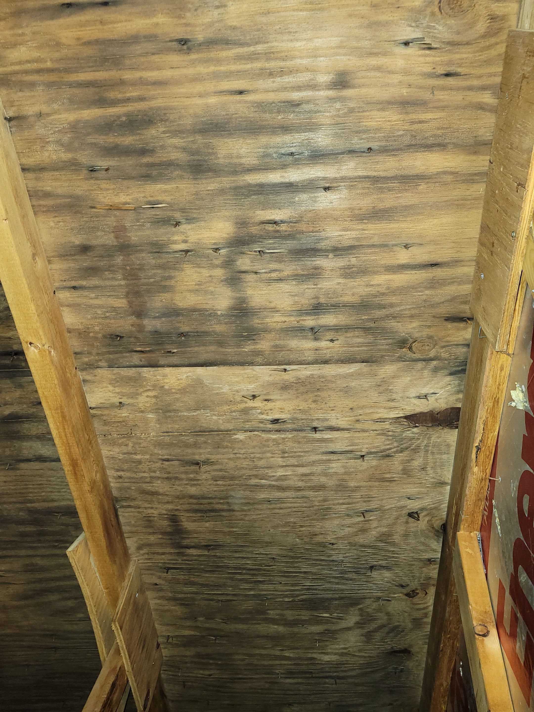 Attic Mold Remediation by Chicagoland Water Medics