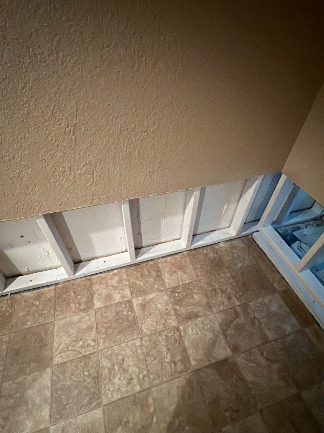 Mold Damage by Accountable Home Services