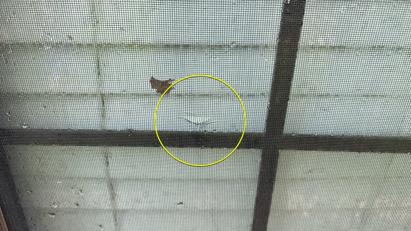 New foundings.  by VJR Brothers Roofing LLC