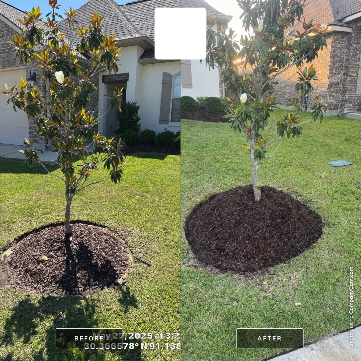 LANDSCAPE SERVICES: DEMO / BED PREP / CUT IN BED EDGES / MULCH INSTALL using BROWN MULCH "BARK BRITE" by CutScape, LLC.