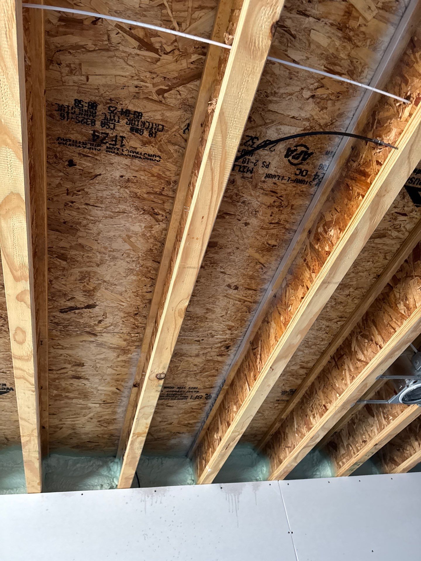 Janesville Mold Remediation and Antimicrobial Treatment for Residential Construction by Dry Source Property Restoration 