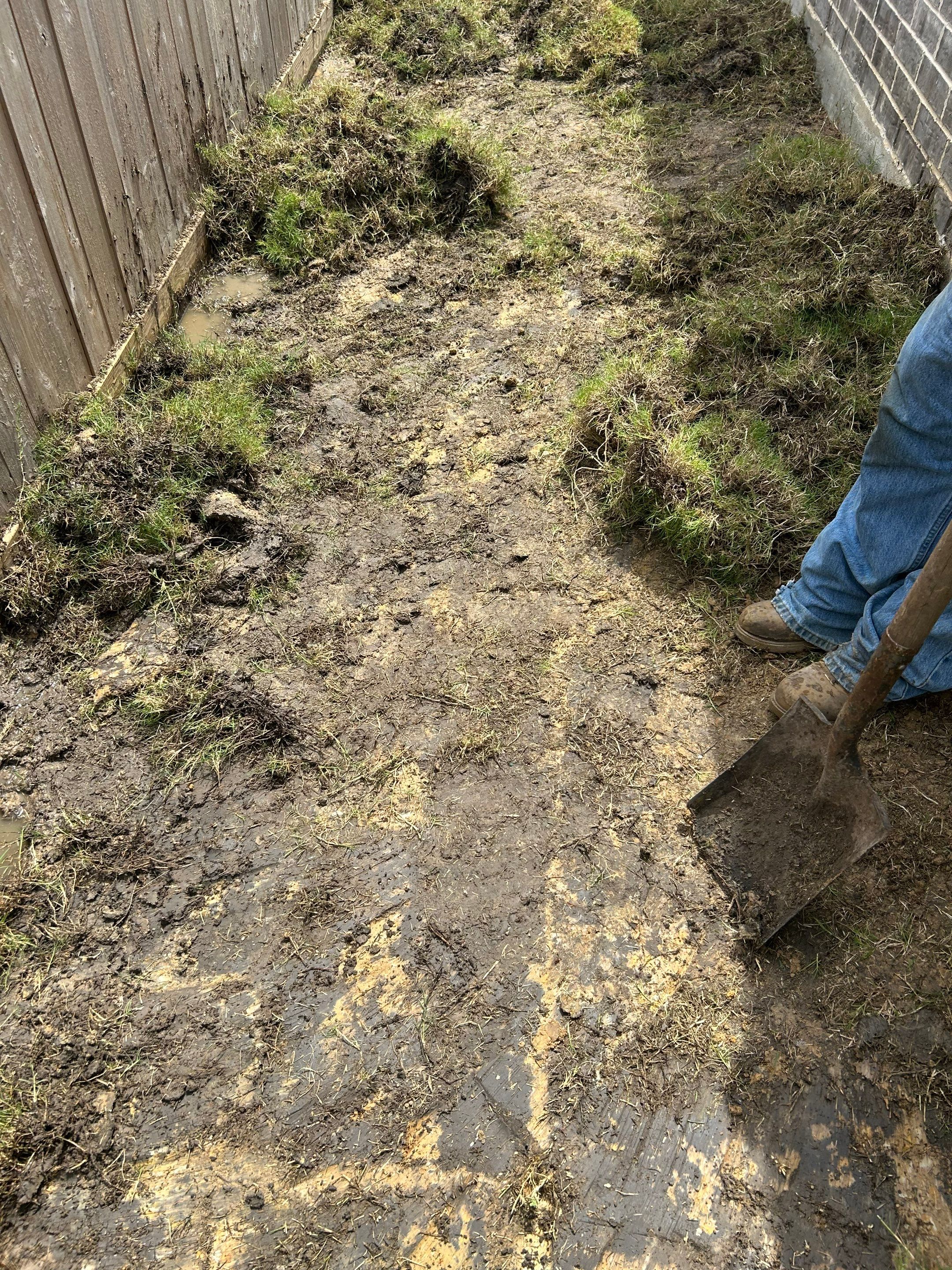🌿 Mr. Rajaram’s Lawn Transformation by Texas Urban Elements