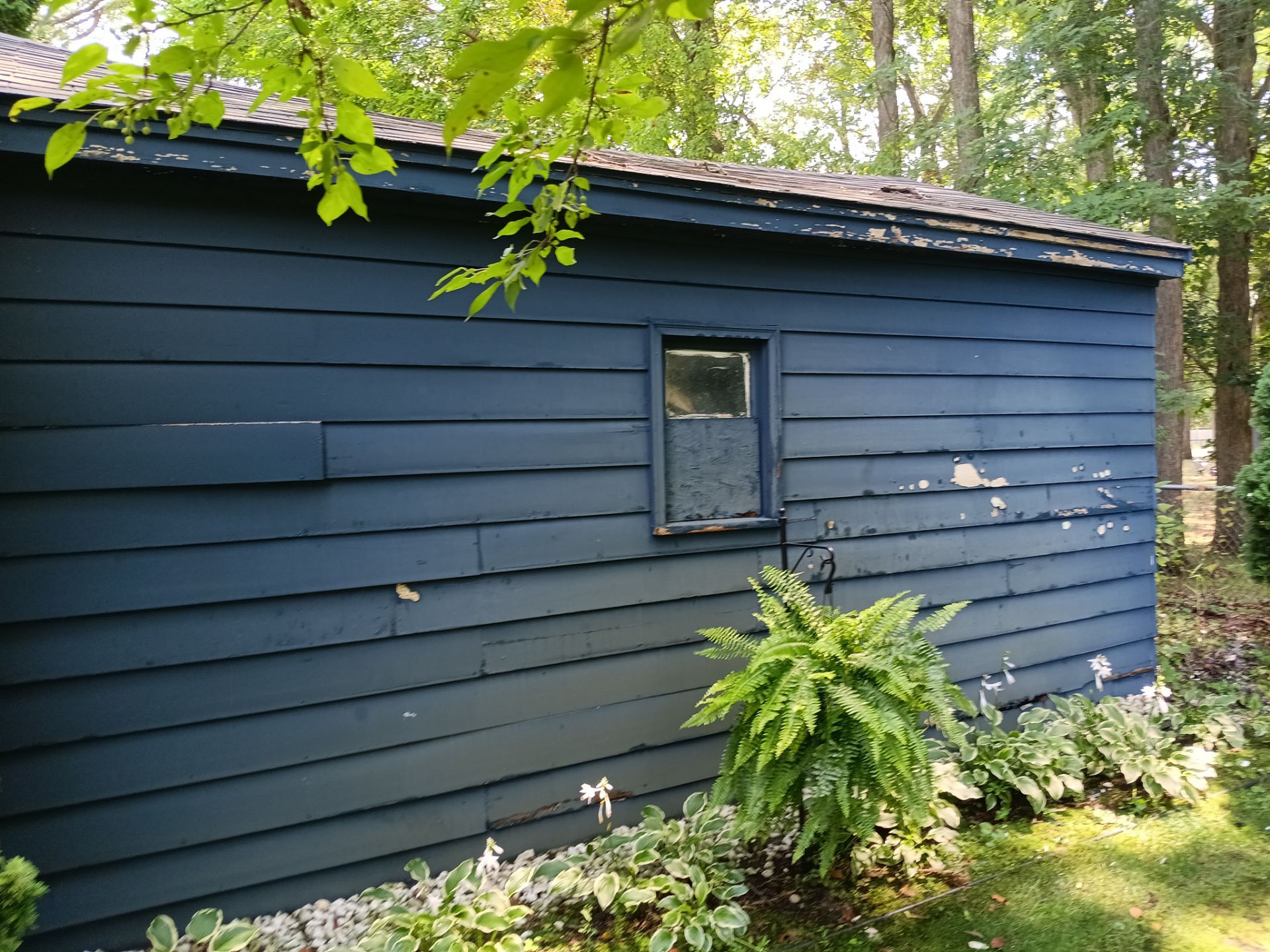 Deck and Shed Re-paint by Gordon Painting