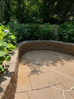 concrete power washing using Algaecide, soft wash soap