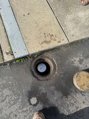 Project in Richmond