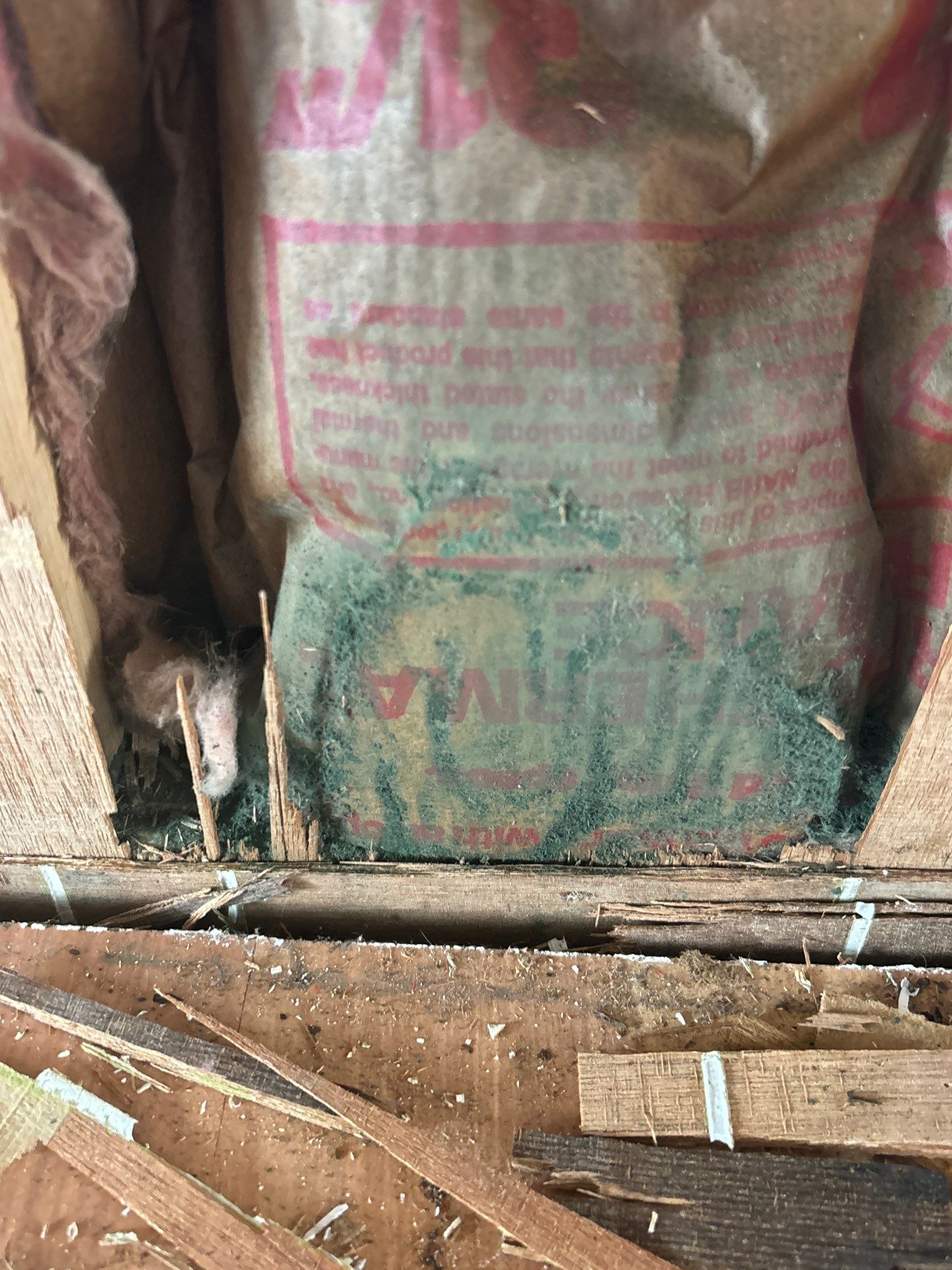 Mold Damage Removal In Ellenton, FL by Ampm Restoration Services