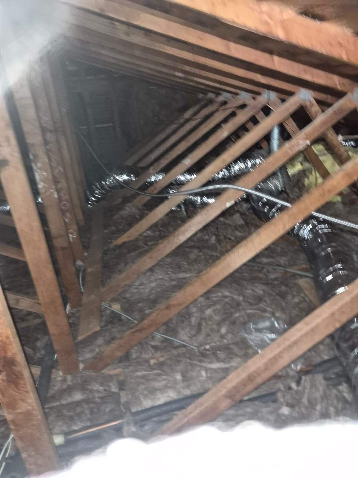 Project by Advanced Attic Solutions by Advanced Attic Solutions