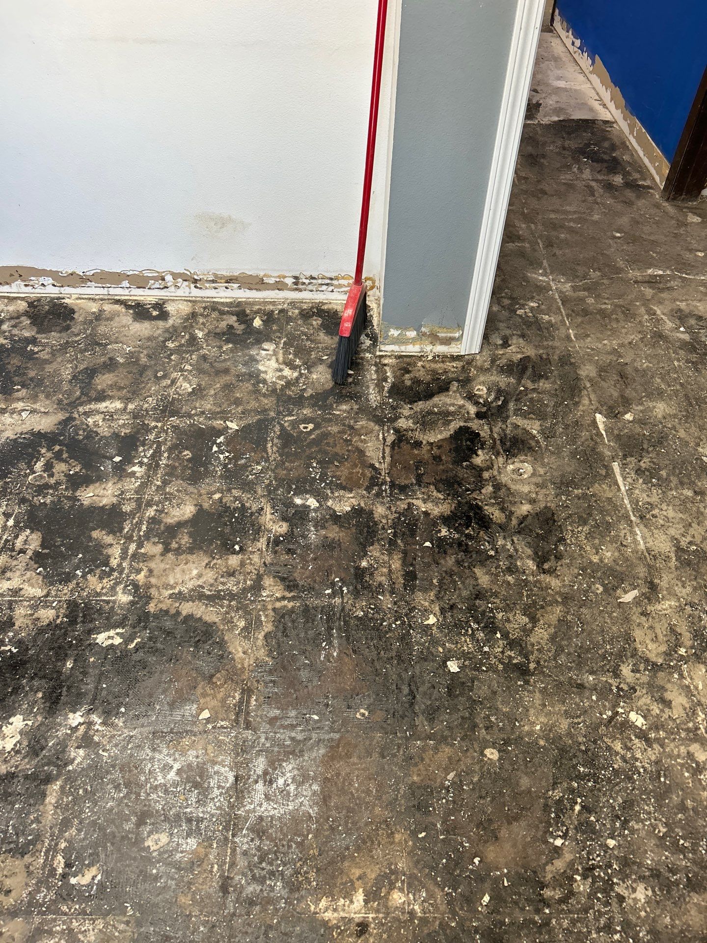 New Commercial Showroom by Revival Concrete Coatings