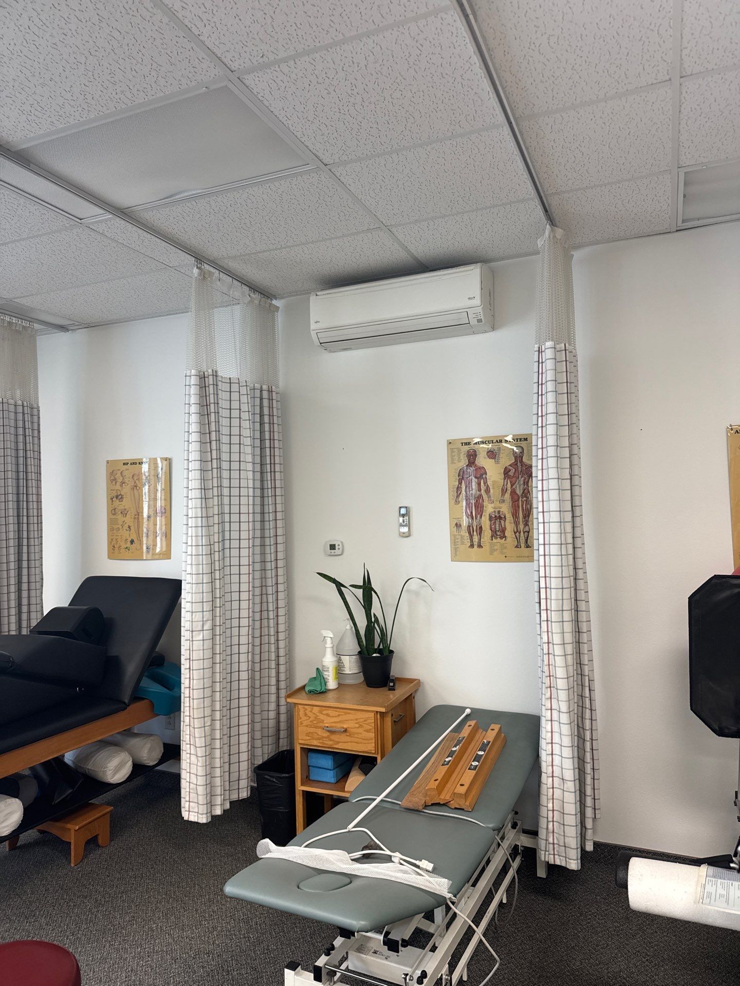 Physical Therapy Office Refresh by Midnight Sun Painting