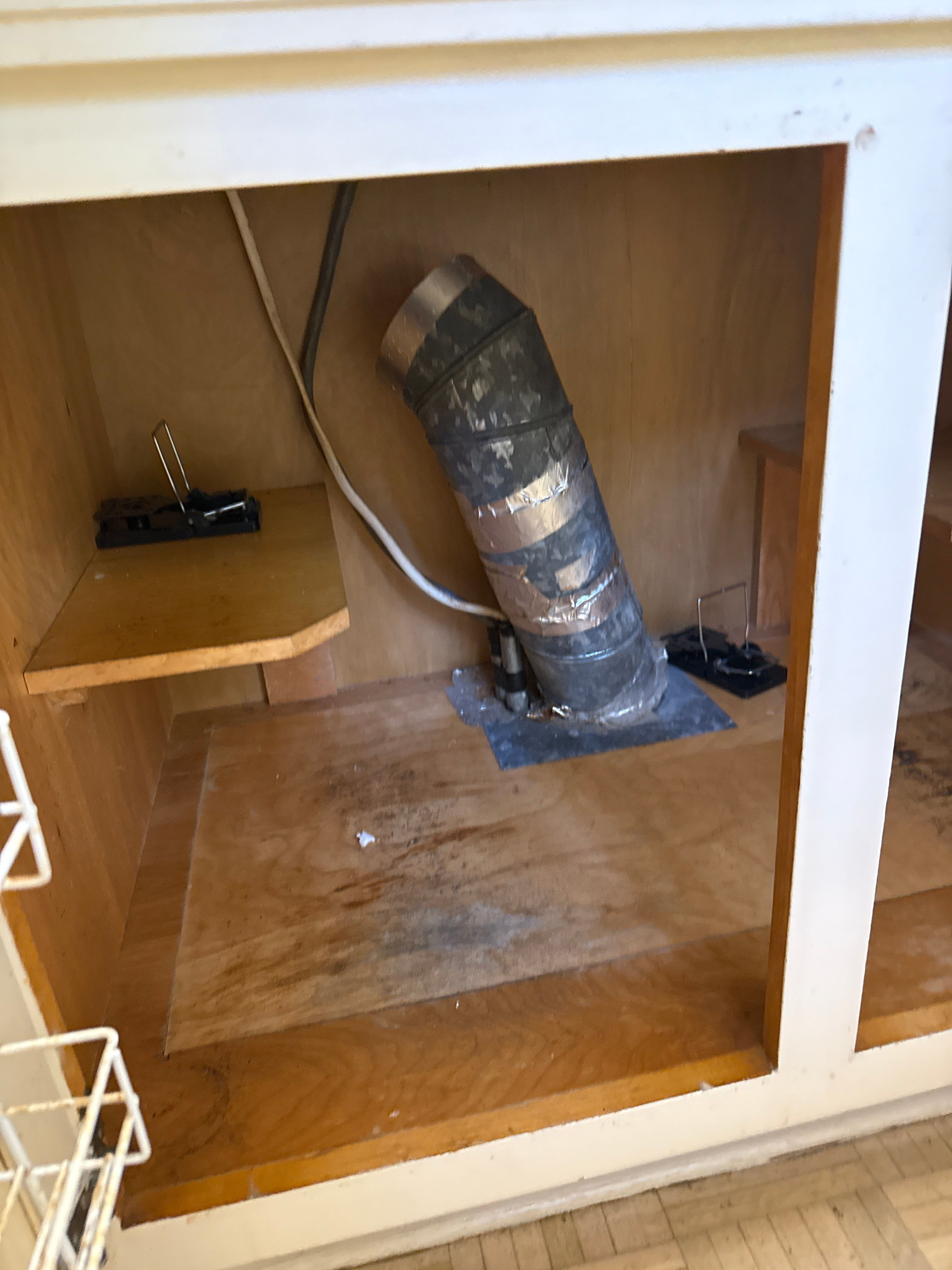 Sleepy Terrapin by TC Construction LLC