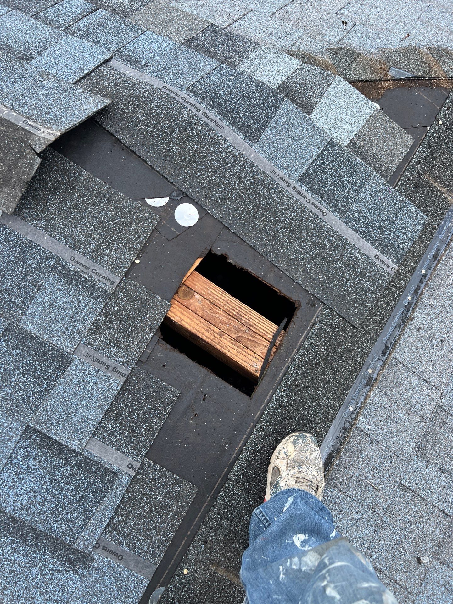 Let My Attic Breathe!!!!! by Bayfront Roofing and Construction