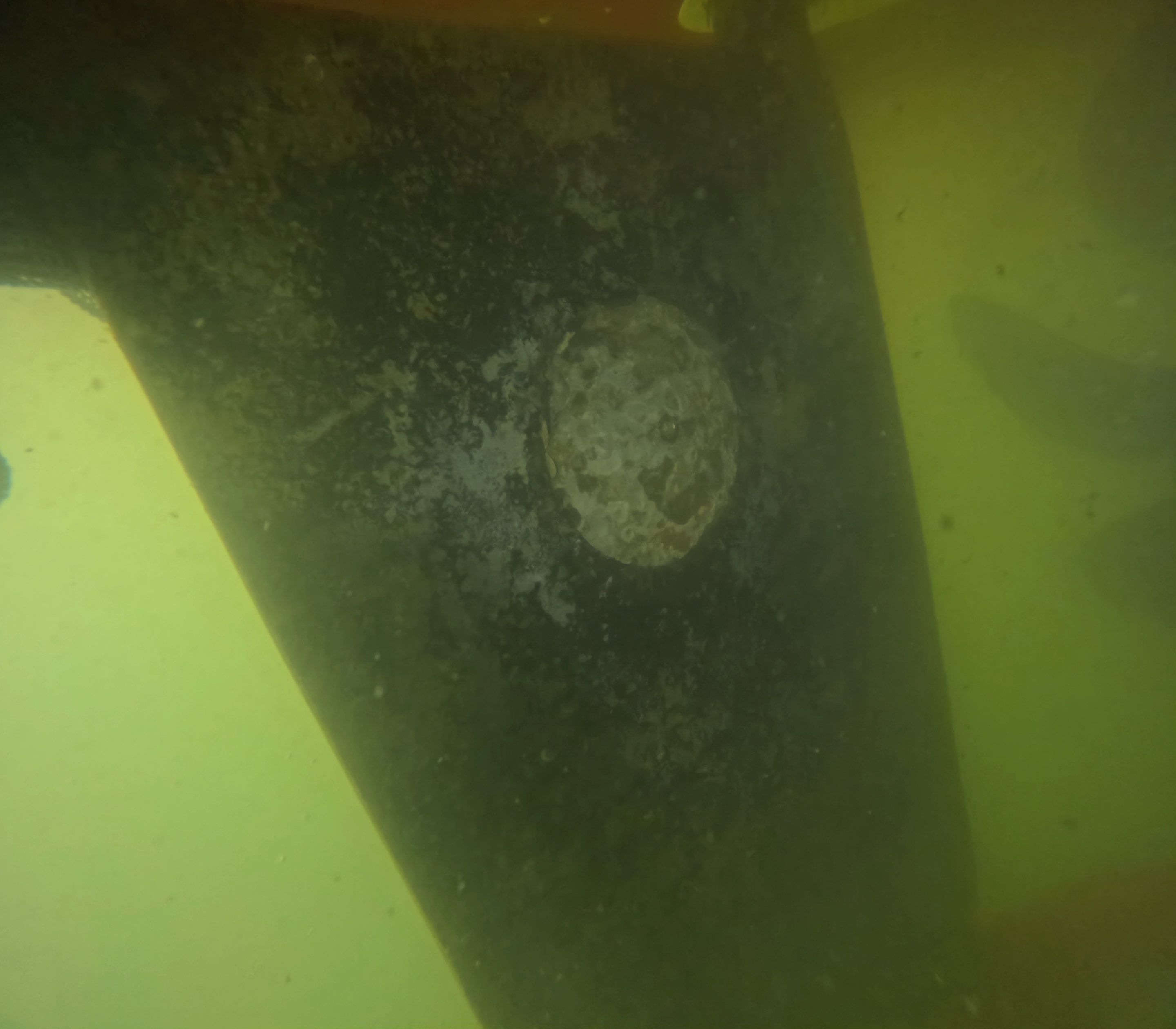 Project in North Fort Myers, FL by Florida Hull Cleaning 