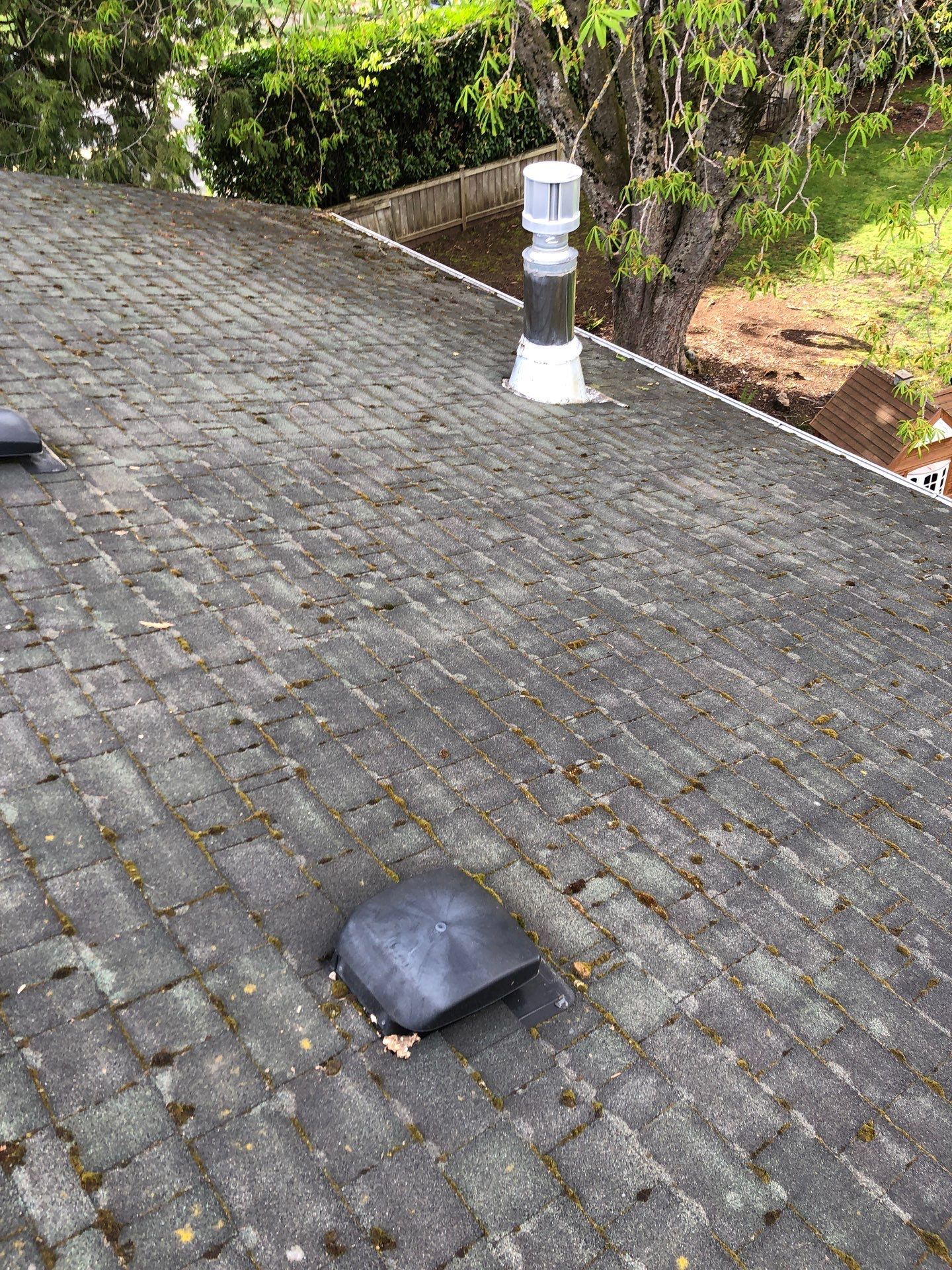 Project in Lynden by Connolly Construction Company