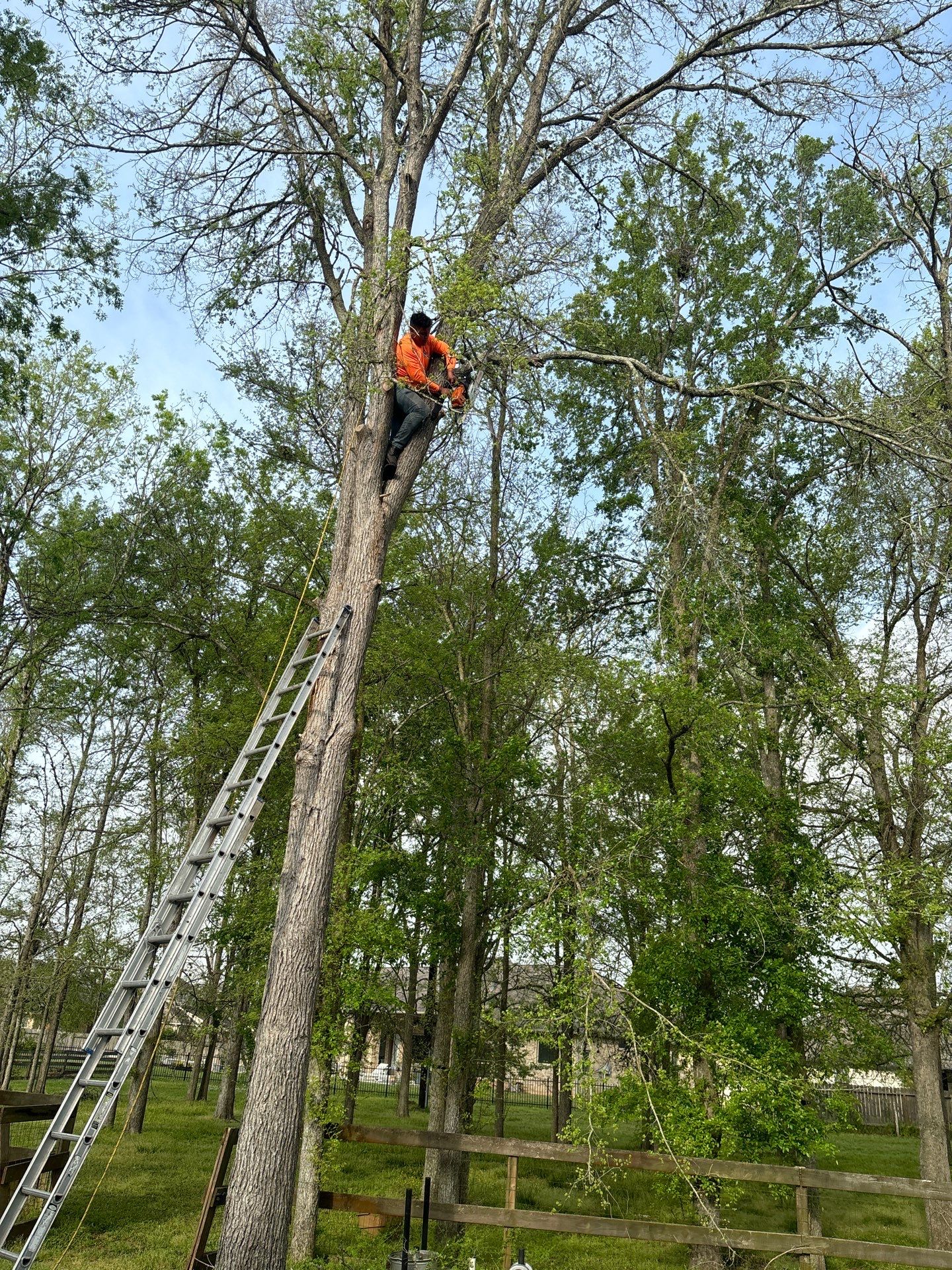 Roof Replacement Weston Lakes by Roof Repair Services LLC