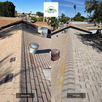 Sand Dune Shingles