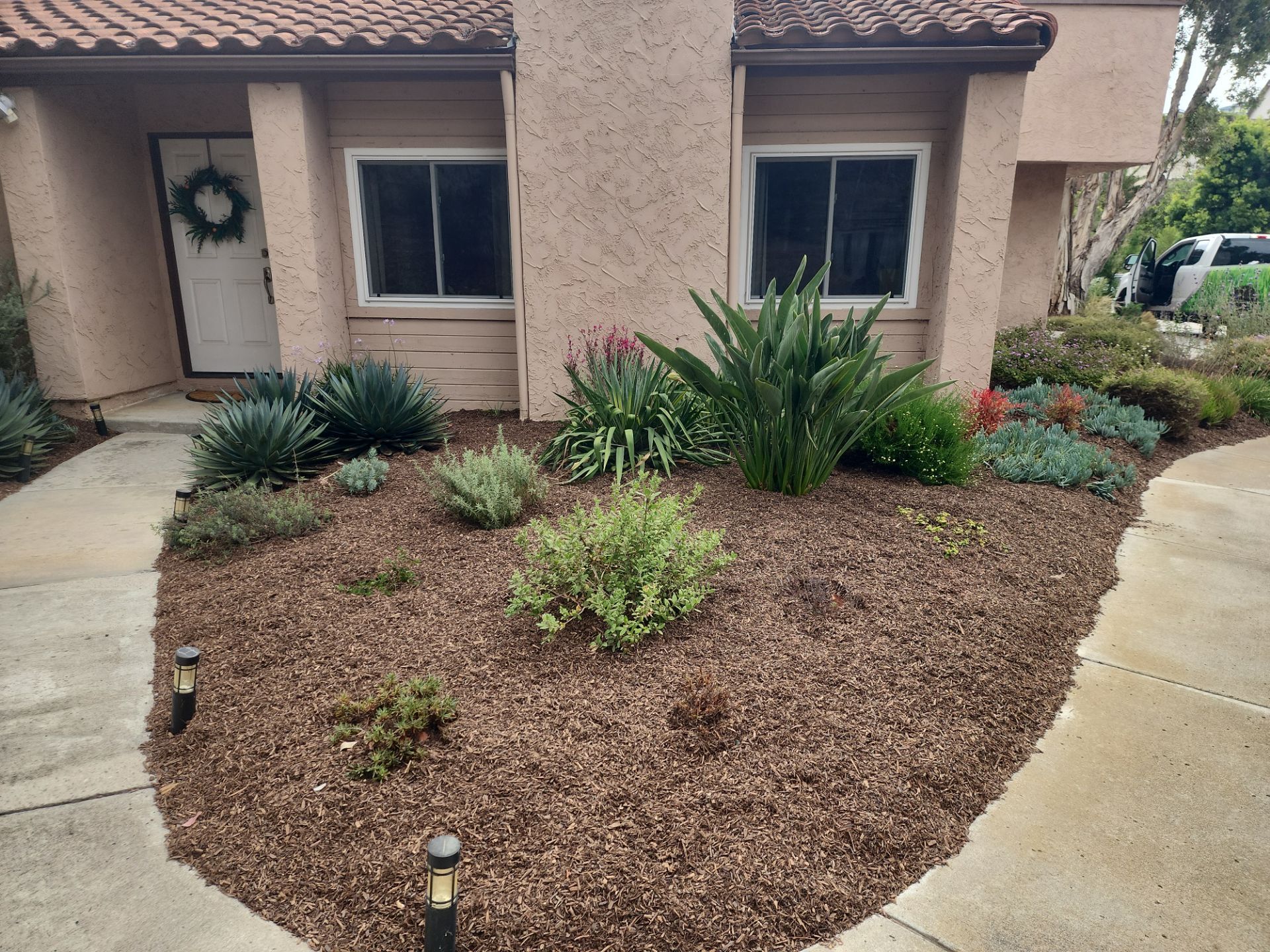 San Diego Residential Landscape Refresh With Succulents and Wood Mulch by Yard Techs