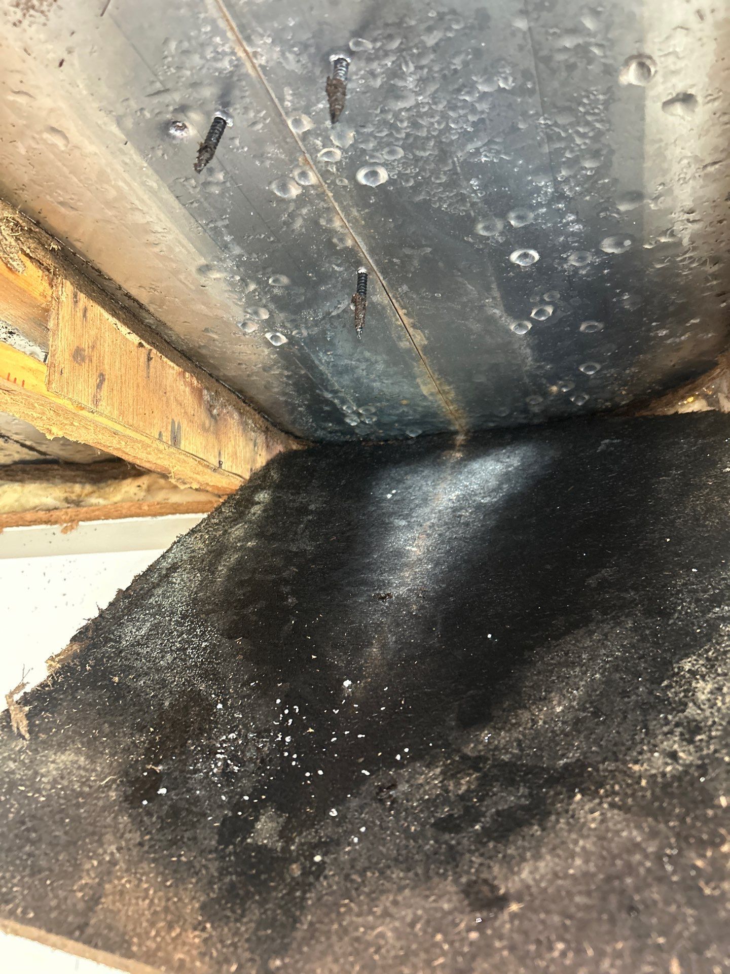 Mold Damage Inspection And Repair In Palmetto FL by Ampm Restoration Services