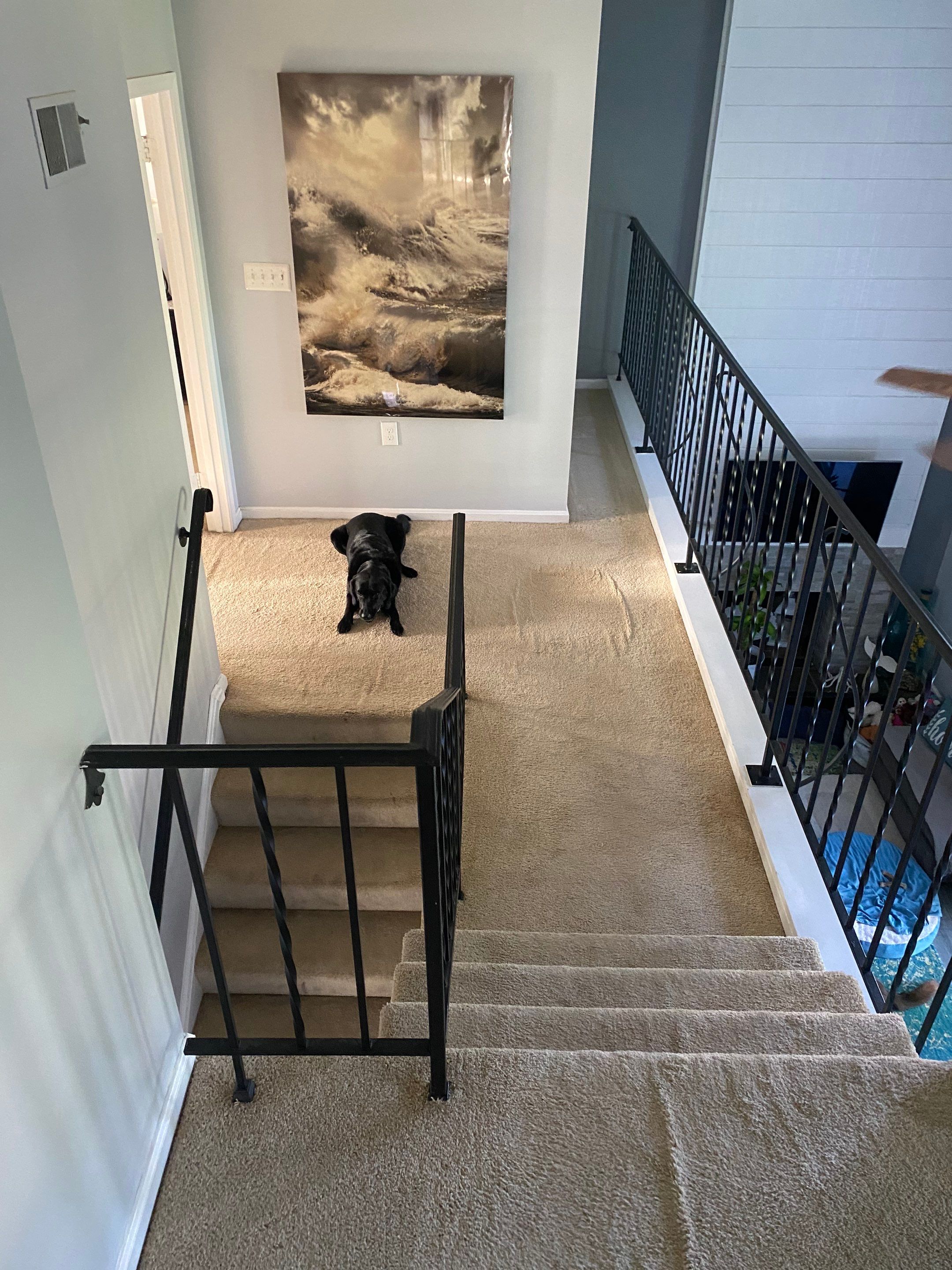 LVP flooring install by The Smet Companies, LLC