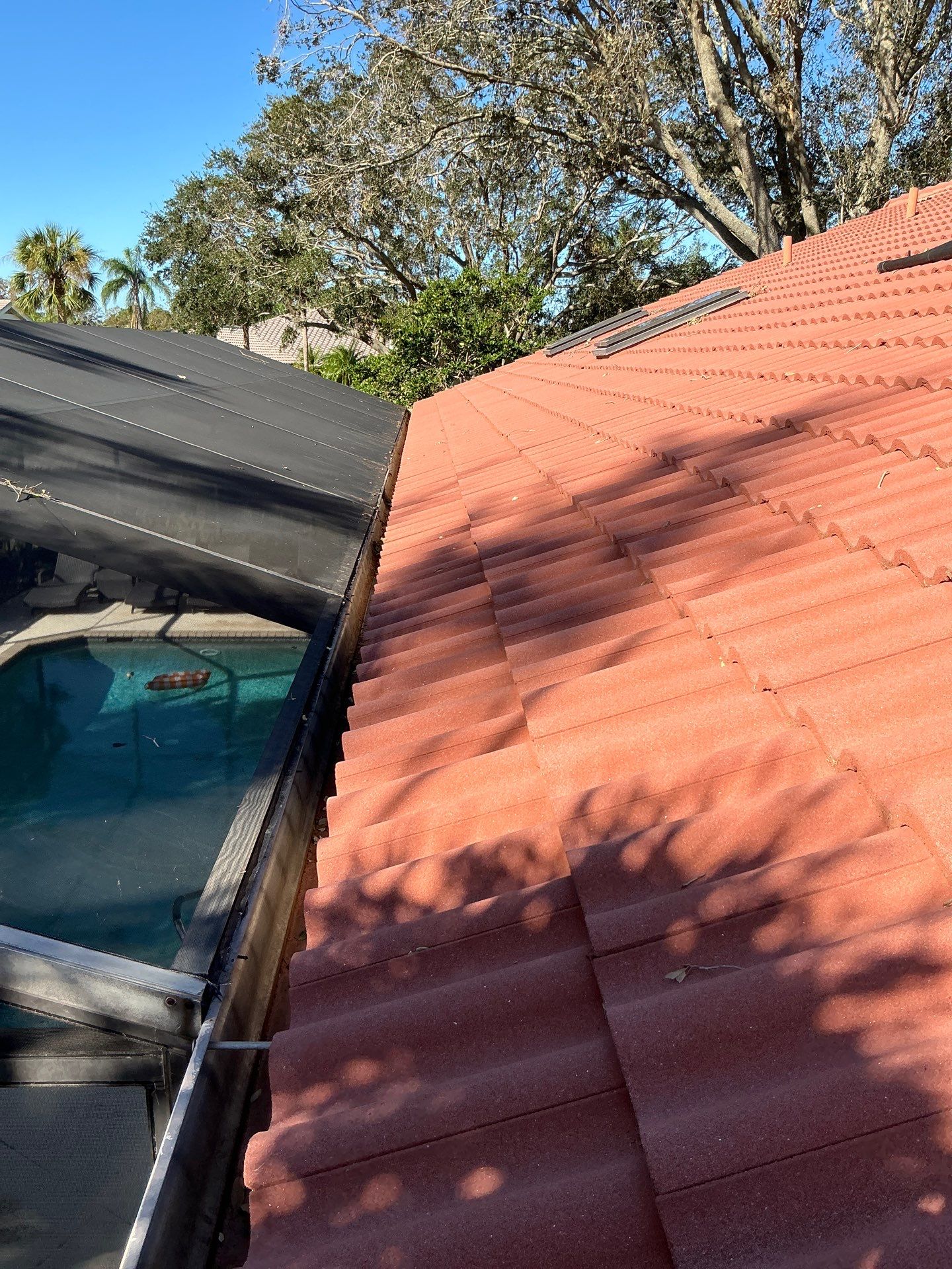Gutter Cleaning Services in Sarasota FL by Gutter Professors