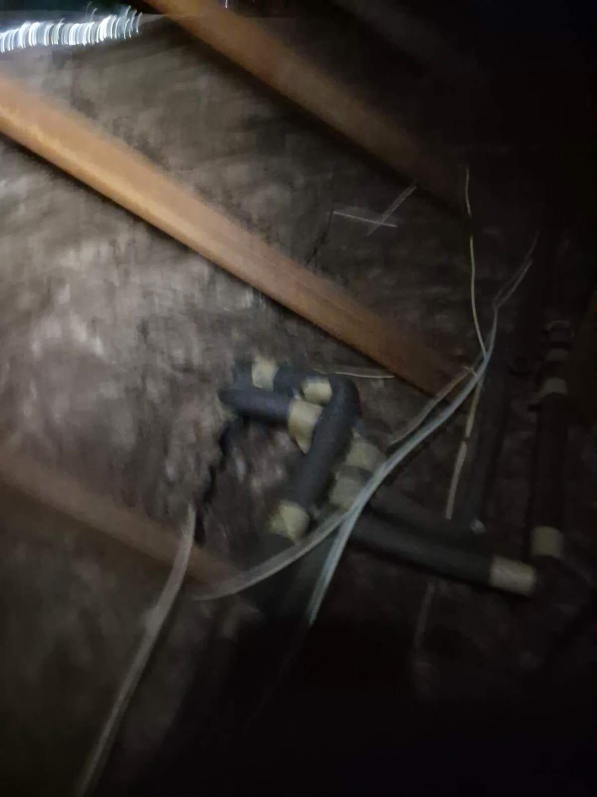 Project by Advanced Attic Solutions by Advanced Attic Solutions