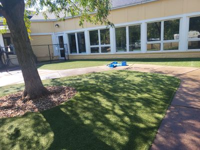 Synthetic Pet Lawn for Indy Humane