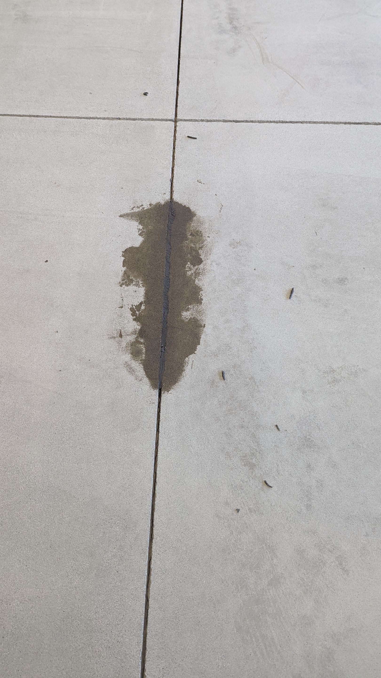 Garage Transformation using Mt Everest by Croc Coatings, LLC
