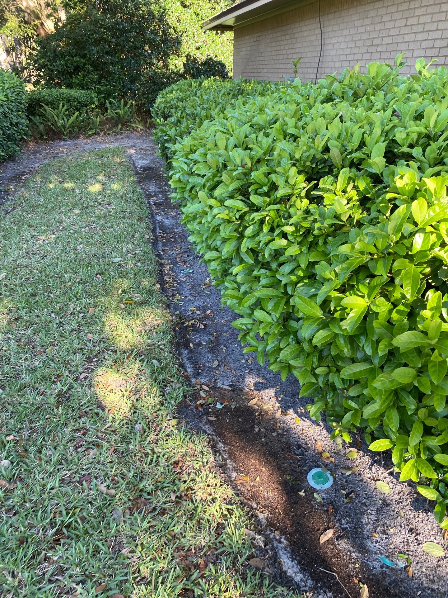 Deerwood Resident | Pine Bark Install by ProGreen Services