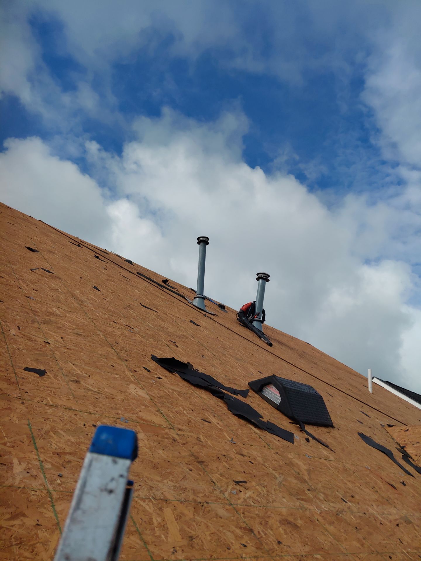 Alexandria: Residential Roof Replacement with CertainTeed Landmark Pro in Max Def Charcoal Black by RM Banning, Inc.