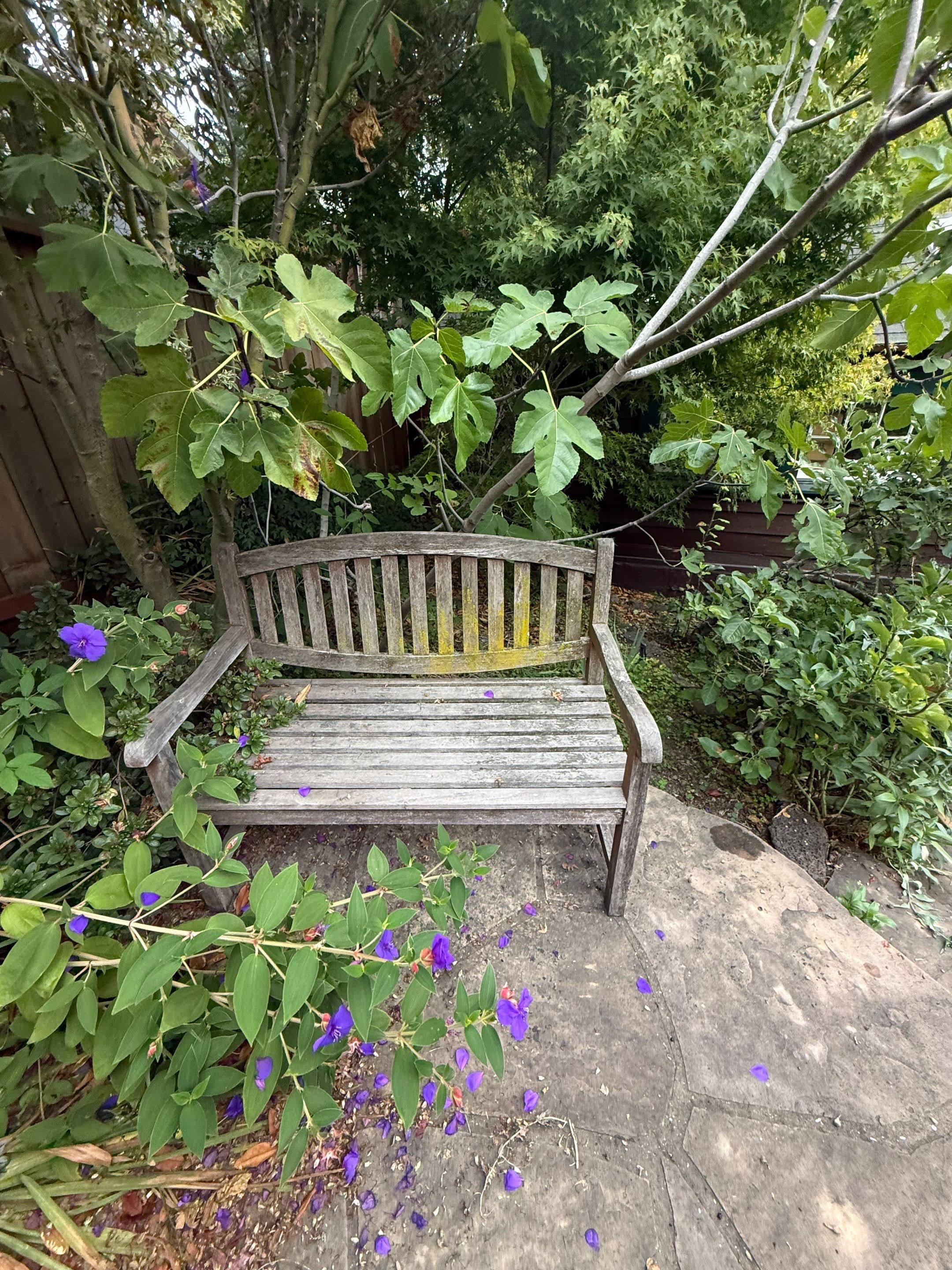 Full back garden refresh by SpotFree Window Cleaning