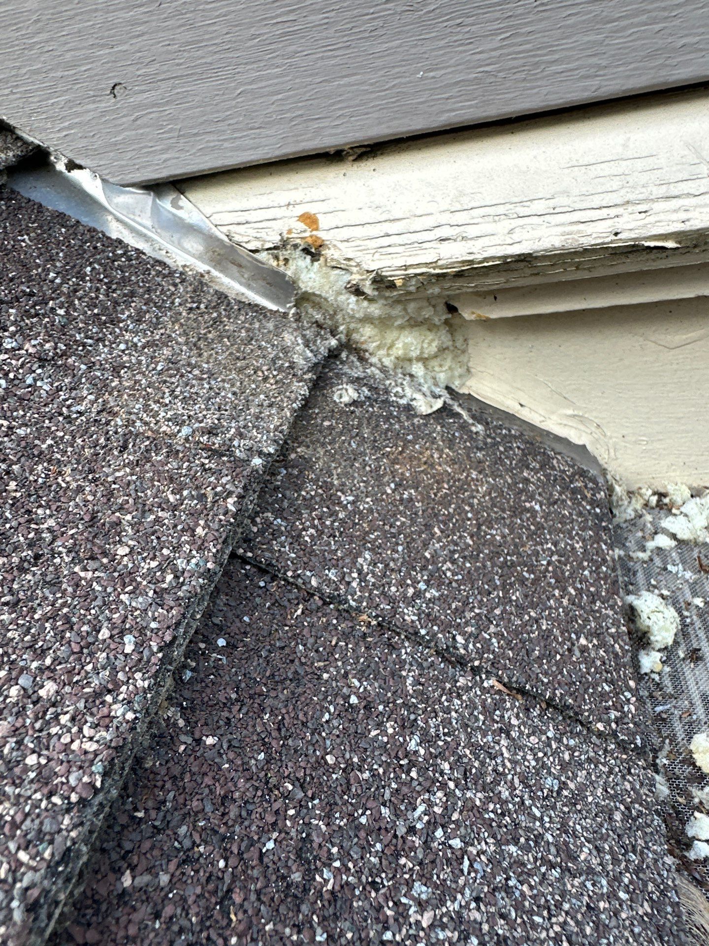 Roofing | Maynard  by Mighty Dog Roofing of Greater Middlesex County