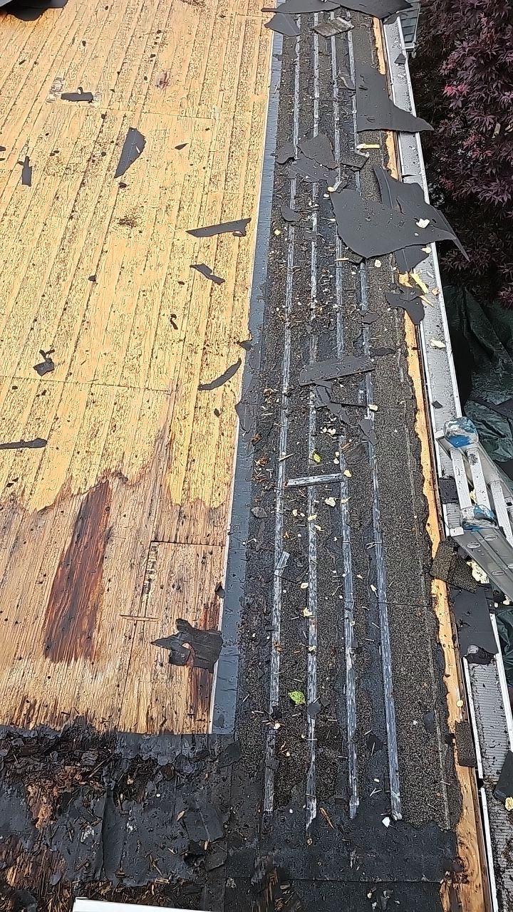 ATLAS PINNACLE HP W/SCOTCHGARD COLOR: WEATHERED WOOD by Eagle Eye Roofing