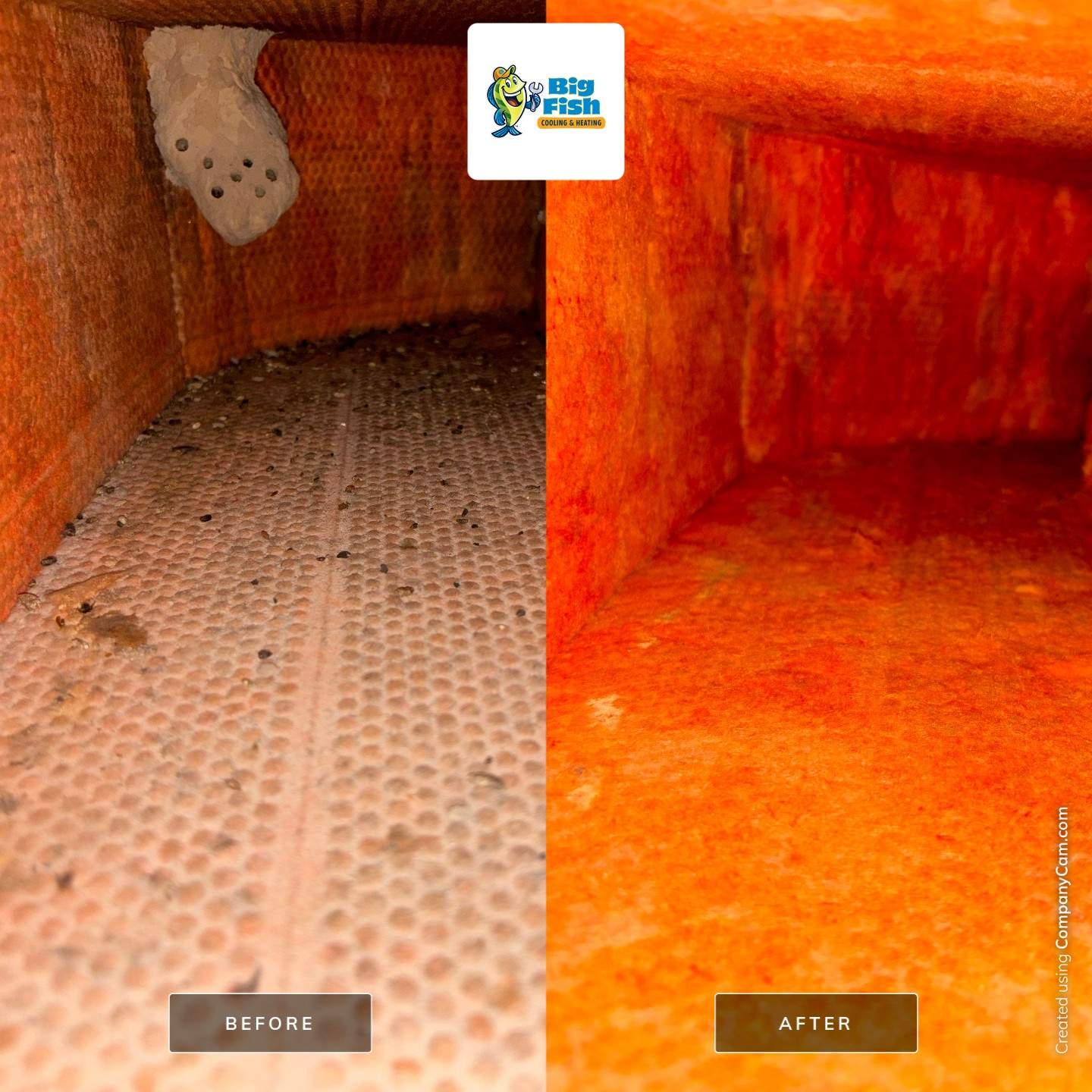 Duct Cleaning - DEAD RODENTS! by Big Fish Cooling & Heating