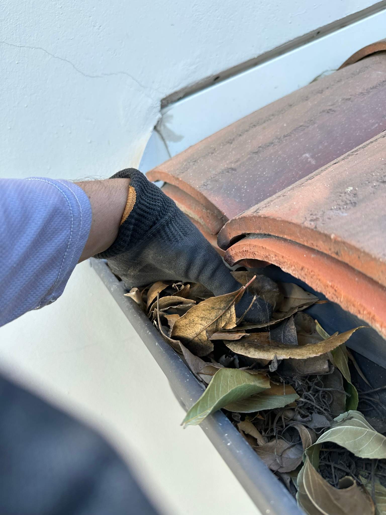 Orange County Gutter Cleaning by Property Cleaning Experts