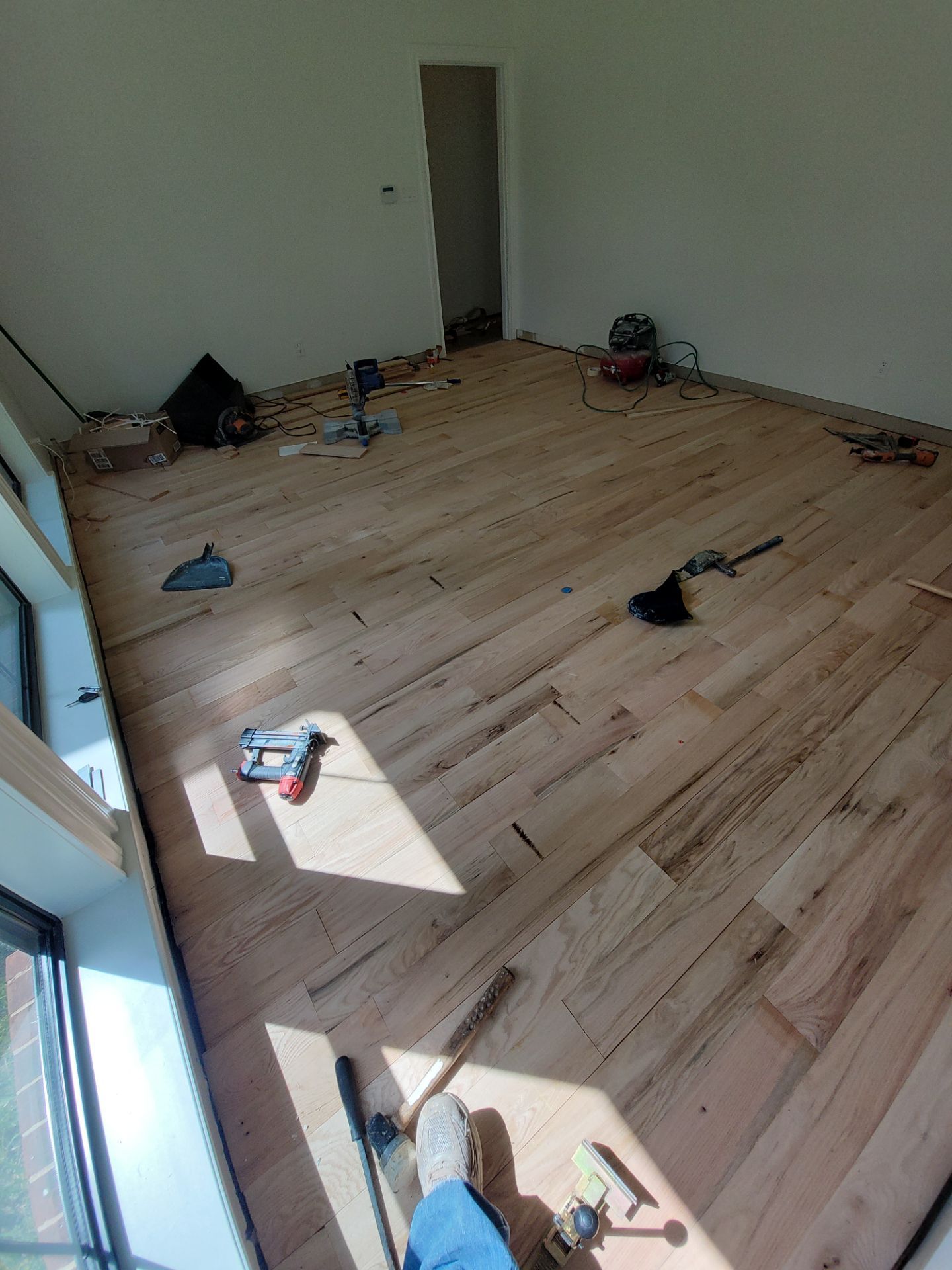 The Napolitano Family by SophAlx LLC