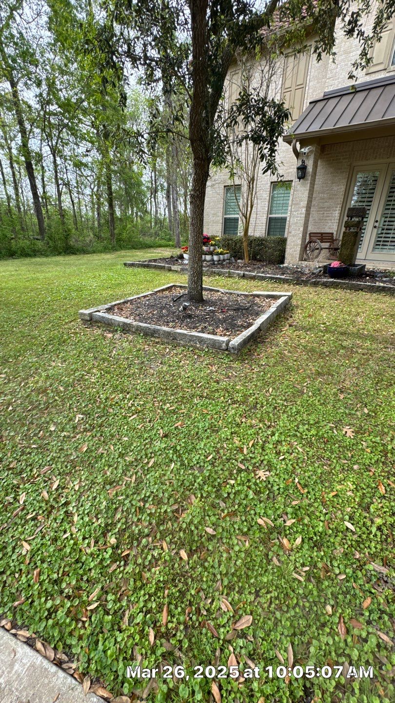 🌟 Mr. Simon’s Complete Curb Appeal Package by Texas Urban Elements